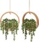 2-Pack Artificial Succulent Hanging Plants – 12.2" Fake String of Pearls in Pots with 8.3" Hanging Lanyard for Indoor & Outdoor Wall Decor (Wood Color)
